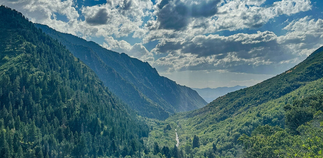 Pelican™ 0450 Mobile Tool Case: Waterproof and Durable - The Case Store